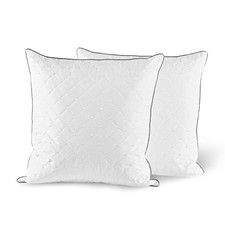 Oreiller en Plumes et Duvet doie 60x60, Lot de 2 Coussin dhôtel de Luxe avec ...