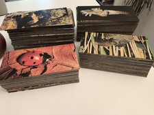 NESTLE Les Merveilles du Monde LOT de 360 cartes ANIMAUX