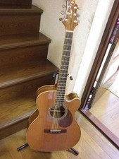 Guitare électrique-acoustique