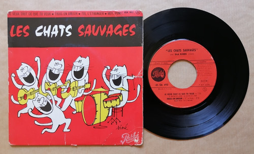 Les chats sauvages - chats,