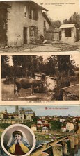 LOT de 3 cartes sur le LIMOUSIN Ferme Fermière Cochon Vache Abreuvoir Lavandière