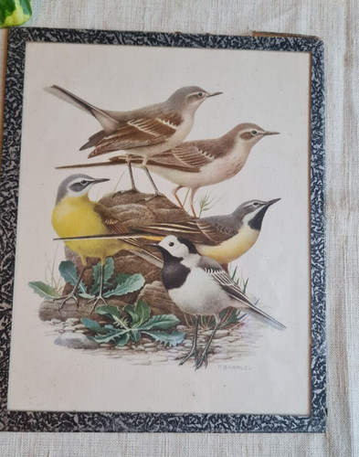 Ancienne petite litho sous - ancienne,