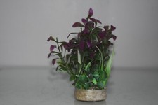 Aquarium Vert & Violet Plante Avec Base en Grès Et Diffuseur 6 x 14 CM