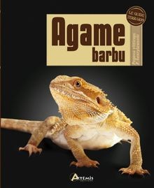 Agame barbu pogona vitticeps - barbu:,