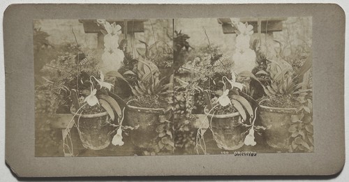 Nature morte avec les pots - , du