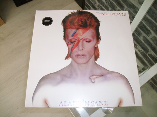 Vinyle 33t david bowie - lp,