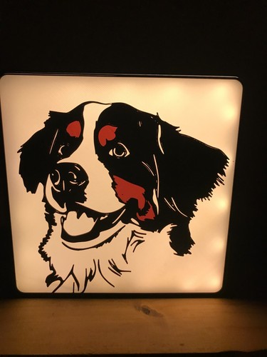 Lampe bouvier bernois - bouvier,