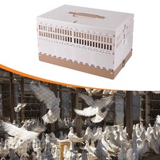 Cage à pigeons, nichoir à