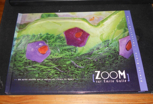 Livre zoom sur emile galle - zoom,