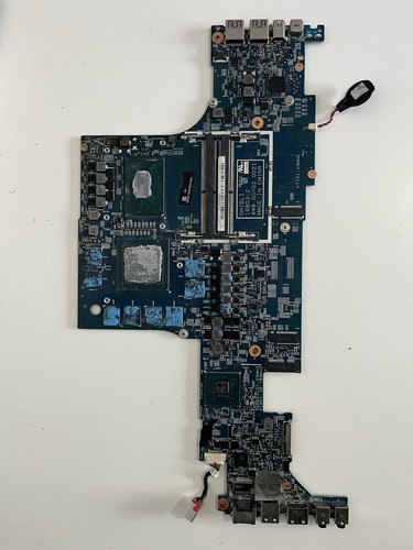Ghibli acer predator - acer, triton