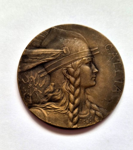 Médaille bronze armée - armée, du