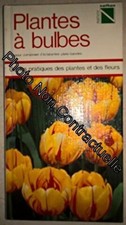 Plantes à bulbes : Pour composer d'éclatantes plates-bandes (Guides