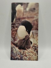 Nestlé MERVEILLES DU MONDE Carte N°286 "le petit manchot adélie" b