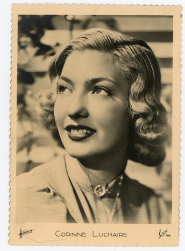 Carte photo photographie - carte-photo,