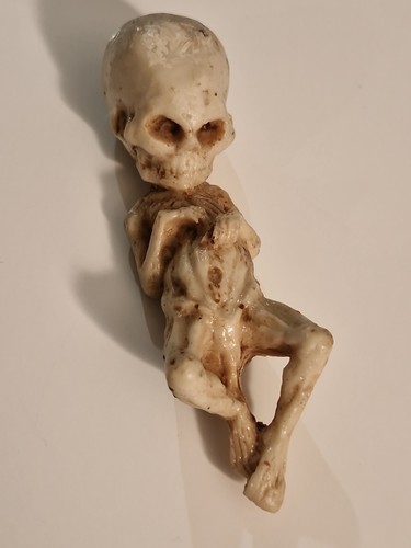 Ancien moulage anthropologique - ancien,