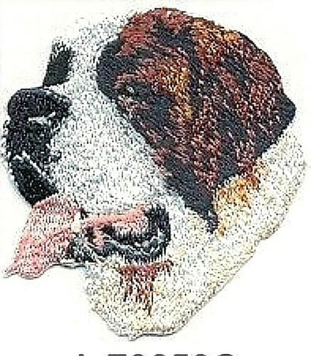 Saint bernard dog - saint,