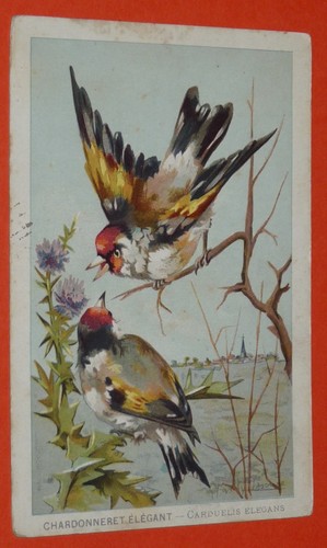 Chromo 1898 bon point grande - 1898, bon-point