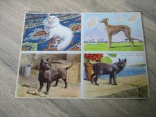 Ancienne planche images