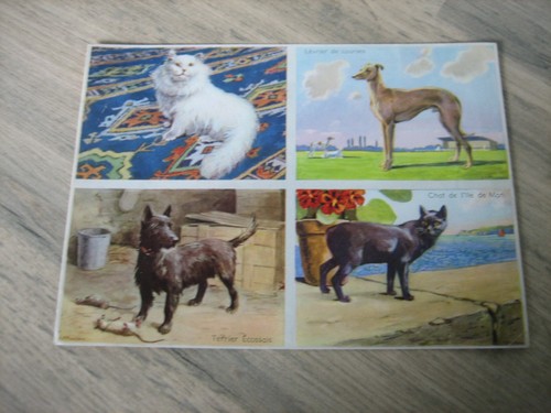 Ancienne planche images