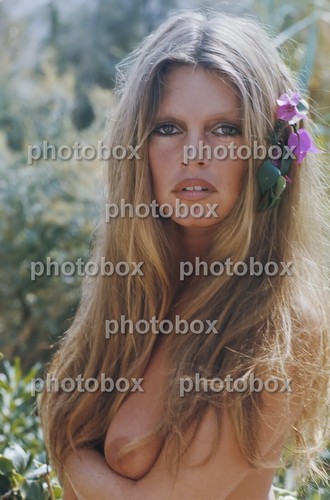 Brigitte bardot exclusive - -,