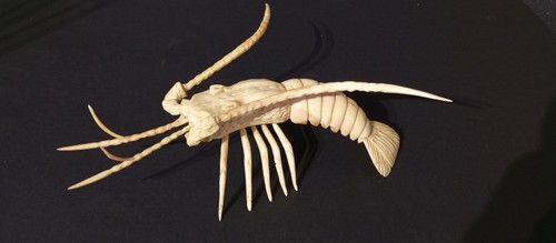 Ivoire phacochere langouste - ivoire, de