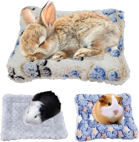 Pièces tapis lapin maison - 3,