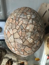 Lot de deux oeufs fossilisés 