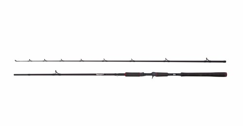 Abu garcia beast pike - abu,