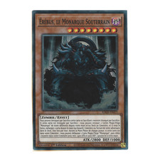Carte Yu-Gi-Oh! 🇫🇷