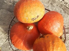 Autocuiseur seb clipso minut