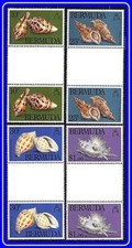 Bermuda 1982 Mer Coquillages Gutter Paires Sc#419-22 MNH Animaux, Marine Life