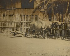 Cambodge, Asie, Paysan et sa