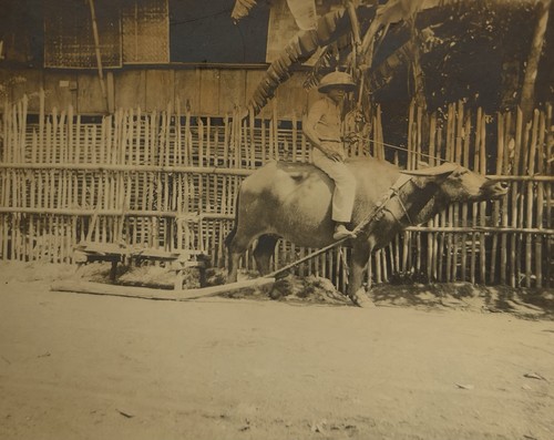 Cambodge asie paysan et sa - cambodge,, asie,