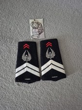 Paire de fourreaux d'épaule