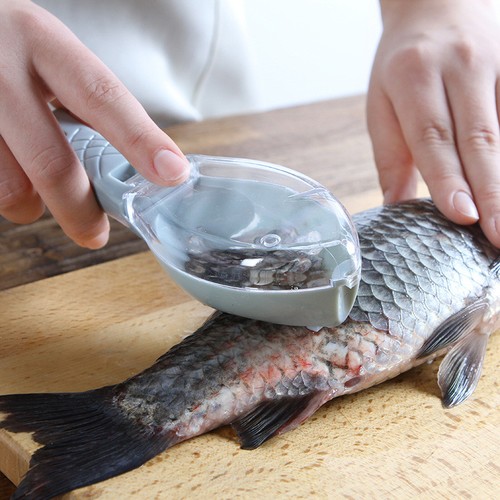 Brosse écailles poisson - brosse,