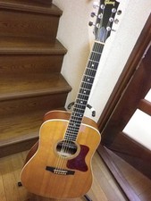 Acoustic-Electric Guitar