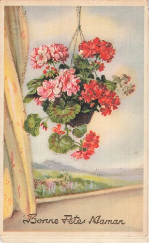 Illustree paillettes bonne - illustree,