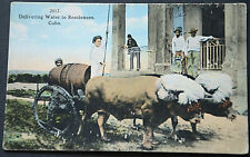 48259 AK Animaux Vaches Vache