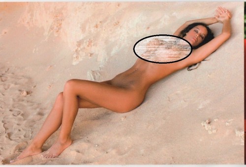Housewife brune sur sable - sur, le