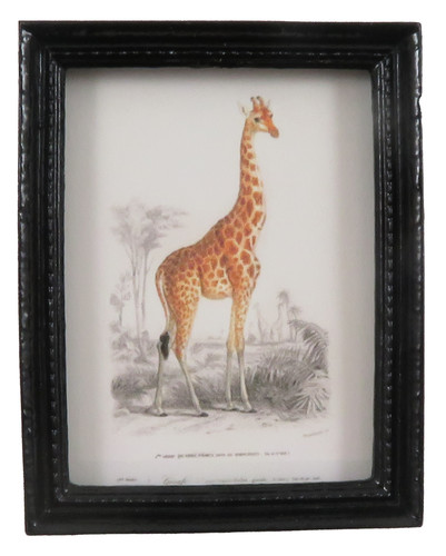 Maison poupées girafe - poupées,