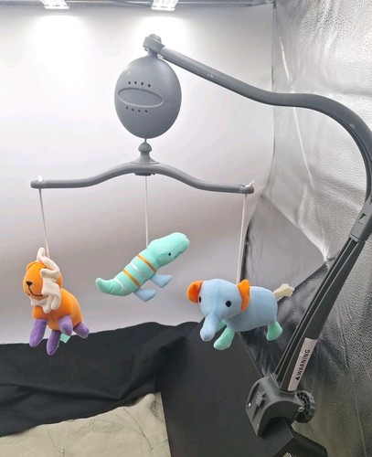 Baby animal musical - baby, for