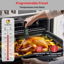 Thermomètre Viande Numérique Sonde Pliable prévisionnelle Ipx5 Barbecue Cuisine