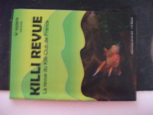 Killi revue club - **cc,