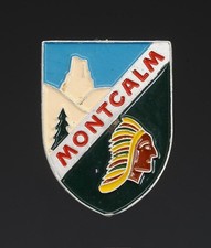 INSIGNE GROUPEMENT 9 groupe 2