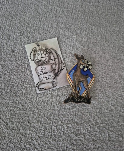 Insigne cabri esf - insigne, de