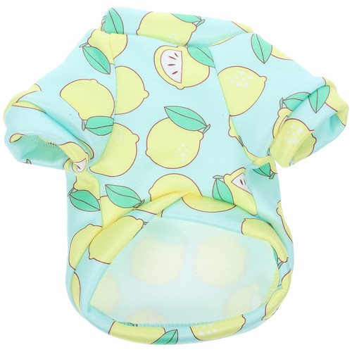 Vêtements pour chiots - vêtements,