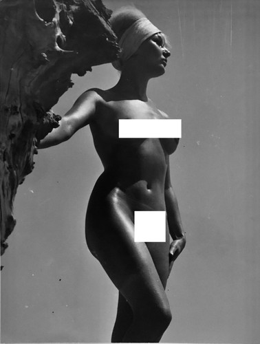Belle photographie vintage - belle,