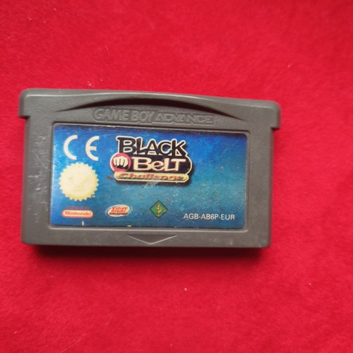 Black belt challenge nintendo - belt,