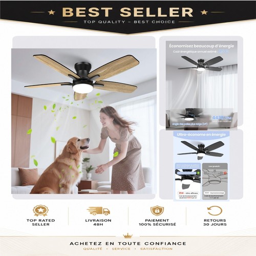 Ventilateur plafond airwit - de,