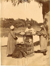 Zangaki, Egypte, Restaurant